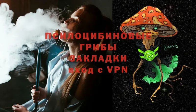 Псилоцибиновые грибы Magic Shrooms  Лосино-Петровский 